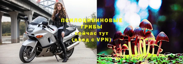твердый Каменск-Шахтинский